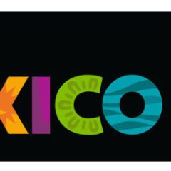 Fechas Tour Profesional México