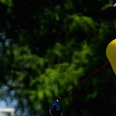 Fraustro pasó el corte en Puerto Rico