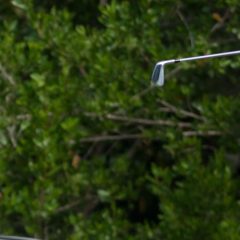 Díaz comparte liderato en Colombia