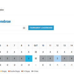 Mexicanos con altibajos