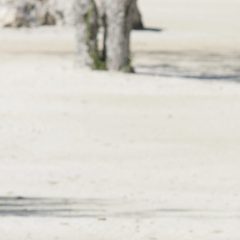 Serna registra la mejor ronda en Italia