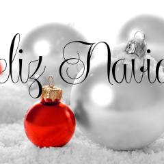 ¡Felices Fiestas!