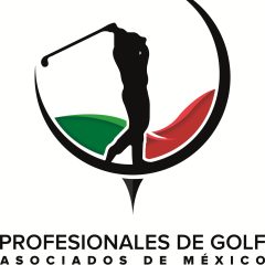 El entrenamiento de las capacidades físicas condicionales aplicadas al golfista de alto rendimiento