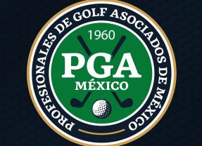 Relación Profesionales vigentes 2025