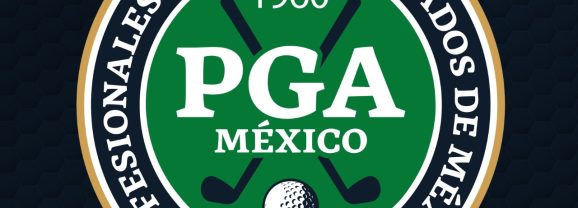 Relación Profesionales vigentes 2025